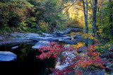  Tellico River