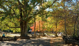 Cades Cove