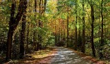 Rich Mountain Road