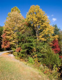 Gatlinburg Bypass