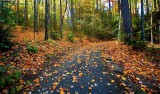 Elkmont Campground
