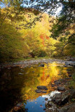 Little River Road