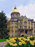 Notre Dame University