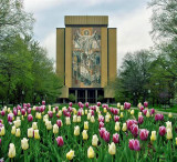 Notre Dame University
