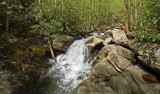 Lynn Camp Prong Cascades