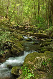 Roaring Fork Motor Trail