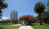 Downtown Park