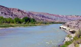  Dinosaur NM