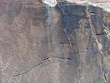 Dinosaur NM