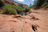 Mule Canyon