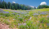 Abajo Mountains