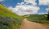 Abajo Mountains