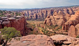 Bull Canyon