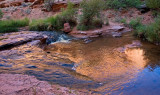 Negro Bill Canyon