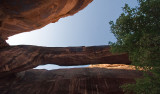 Morning Glory Arch
