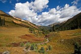 Velocity Basin