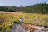 Mountain stream