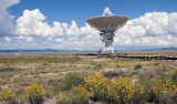 Very Large Array