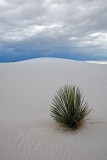 White Sands NM