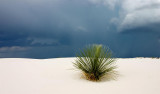 White Sands NM