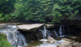 Tinkers Creek