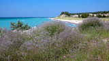 Point Betsie