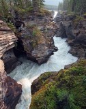 Athabasca Falls, Jasper