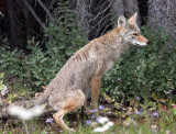 Kananaskis Country