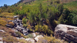 Lamoille Canyon