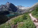Grinnell Glacier Trail