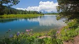 Oxbow Bend