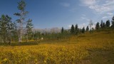 Payson
