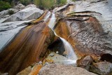 Lisa Falls