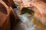 Pleasant Creek