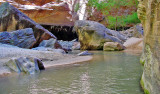 The Narrows 6