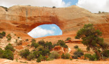 Wilson Arch