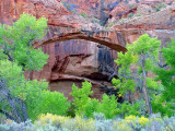 Escalante Natural Bridge