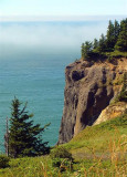 Coastal Cliffs
