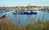 Marina, Coos Bay