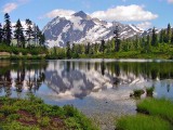 Picture Lake, Mt Baker 1