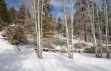   Bryce Canyon in Winter 12