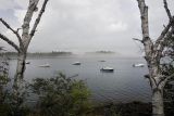  Schoodic Peninsula 1