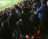 Swans Celebrate
