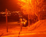 Townhill Steps