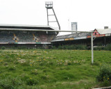 139.jpg
