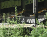 144.jpg