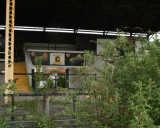 152.jpg