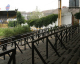 158.jpg