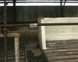 160.jpg