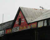 174.jpg